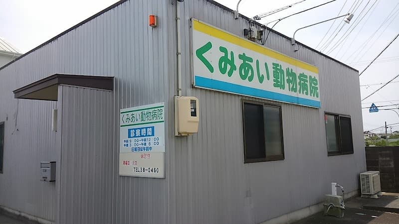 くみあい動物病院