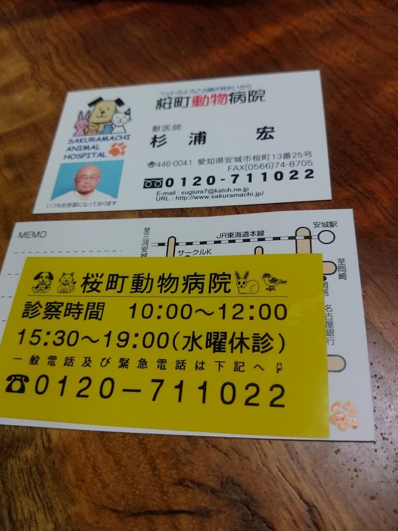 桜町動物病院