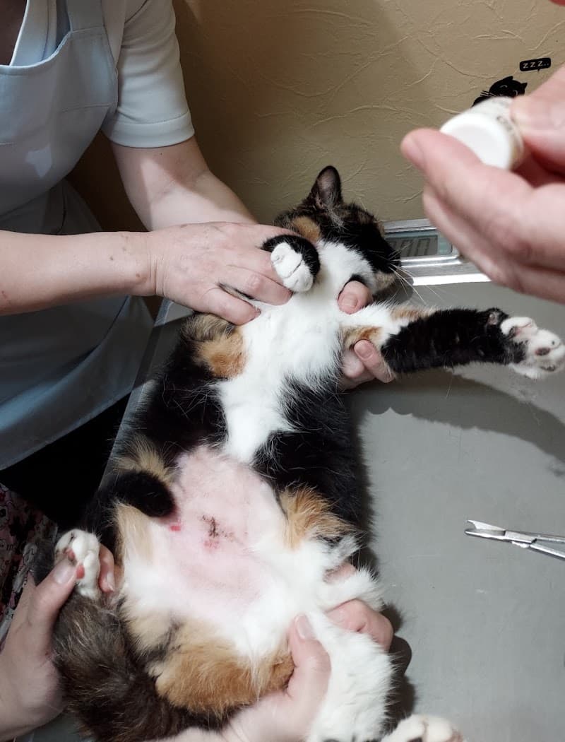 チアキ動物病院