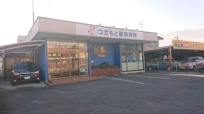 つかもと動物病院