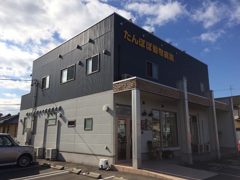 たんぽぽ動物病院