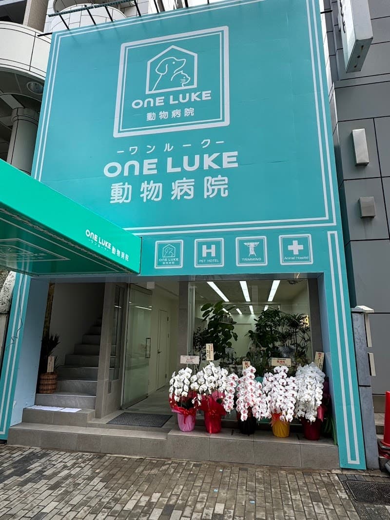 ワンルーク動物病院 名古屋栄本院/名古屋どうぶつ皮膚科