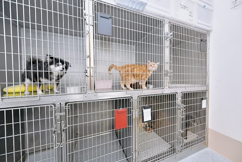 ひがしやま動物病院