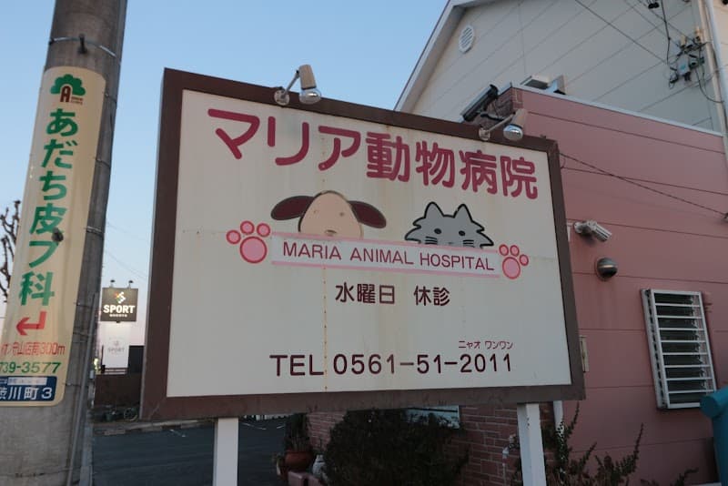マリア動物病院