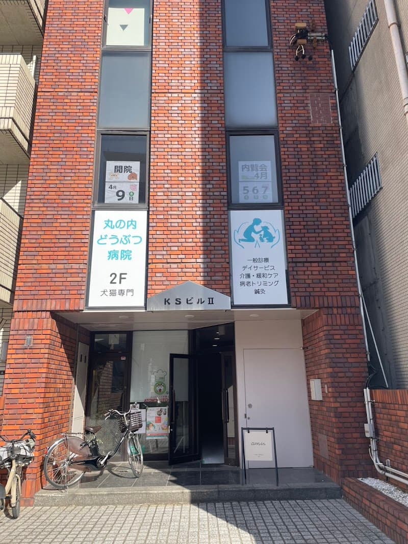 丸の内どうぶつ病院