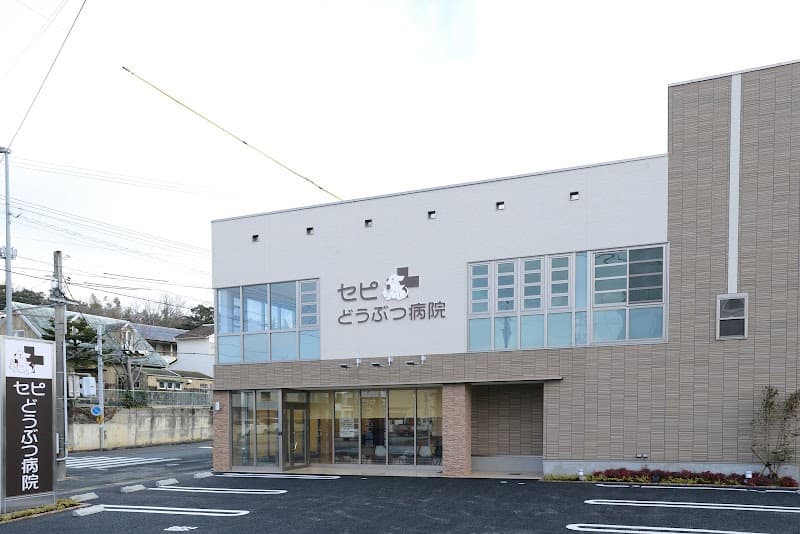セピどうぶつ病院
