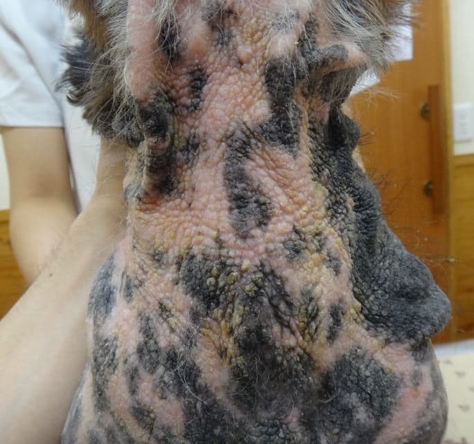 四季の森どうぶつクリニック