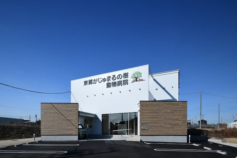 東郷がじゅまるの樹動物病院