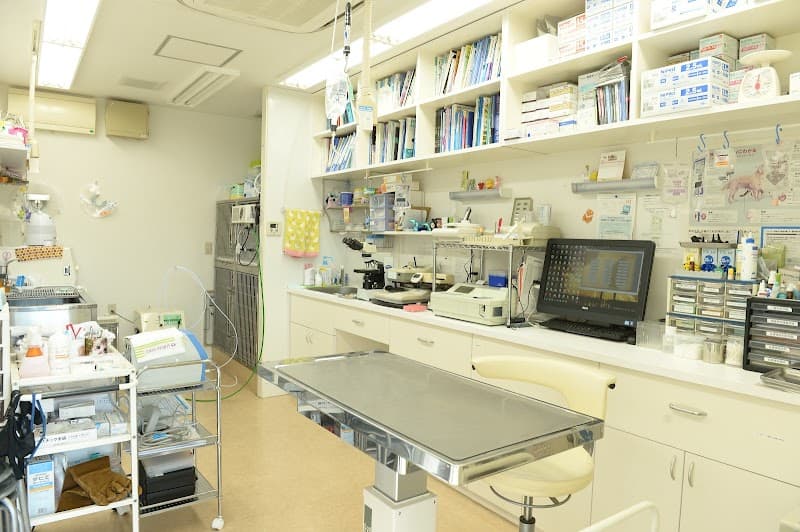 こうなん動物病院