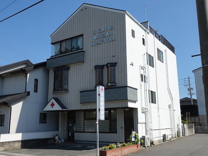 平岩動物病院