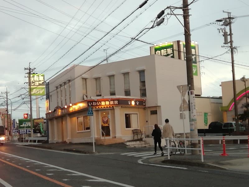 いわい動物病院
