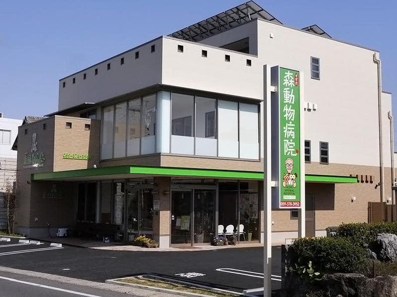 森動物病院