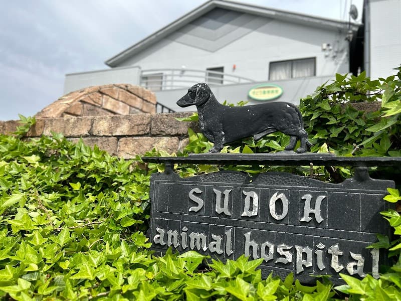 すどう動物病院