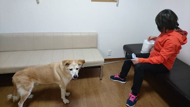 高橋獣医科医院