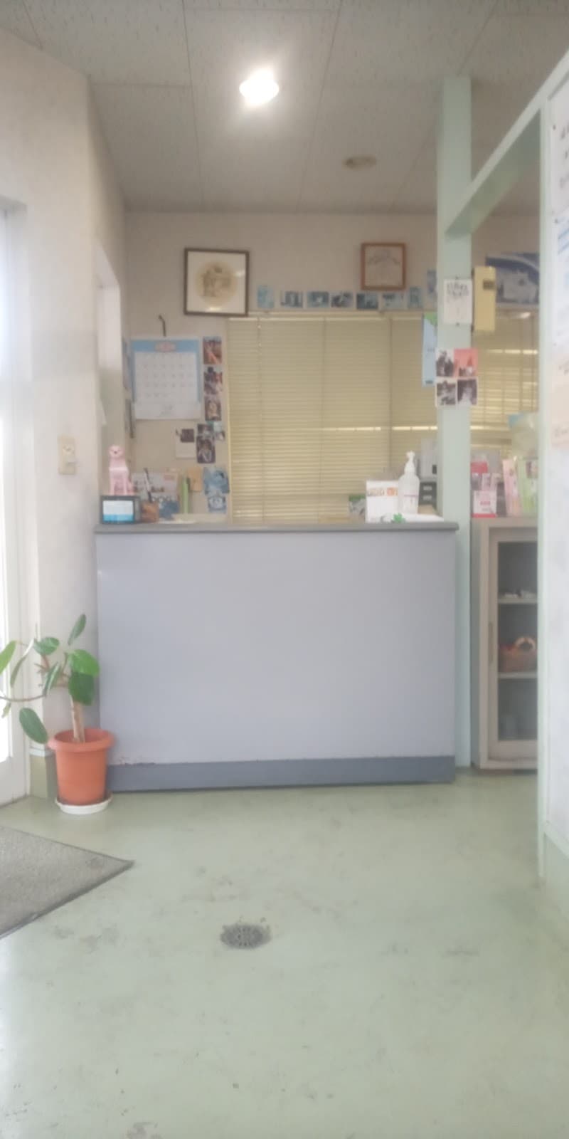 けやき動物病院