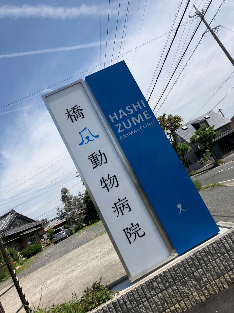 橋爪動物病院