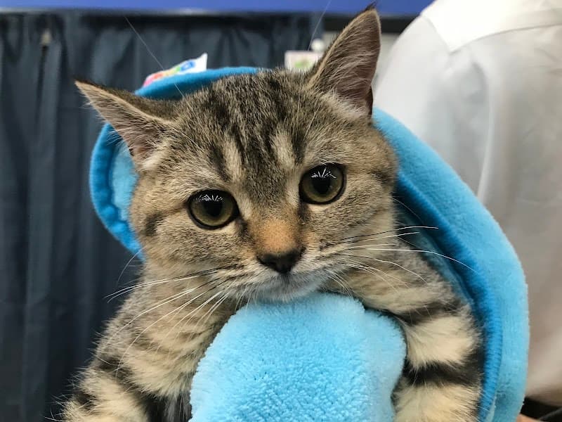 いなば動物病院