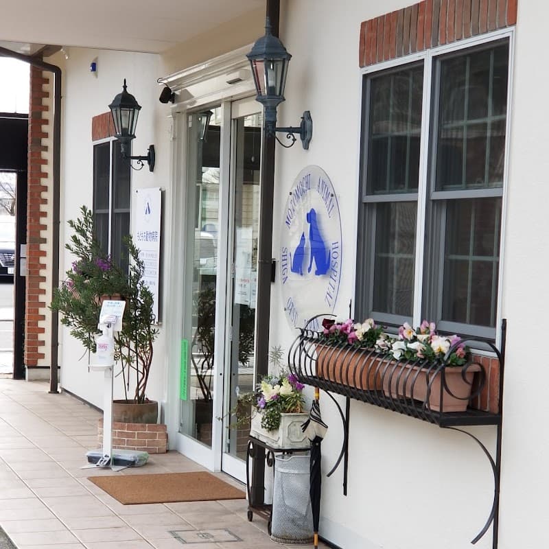 もともち動物病院