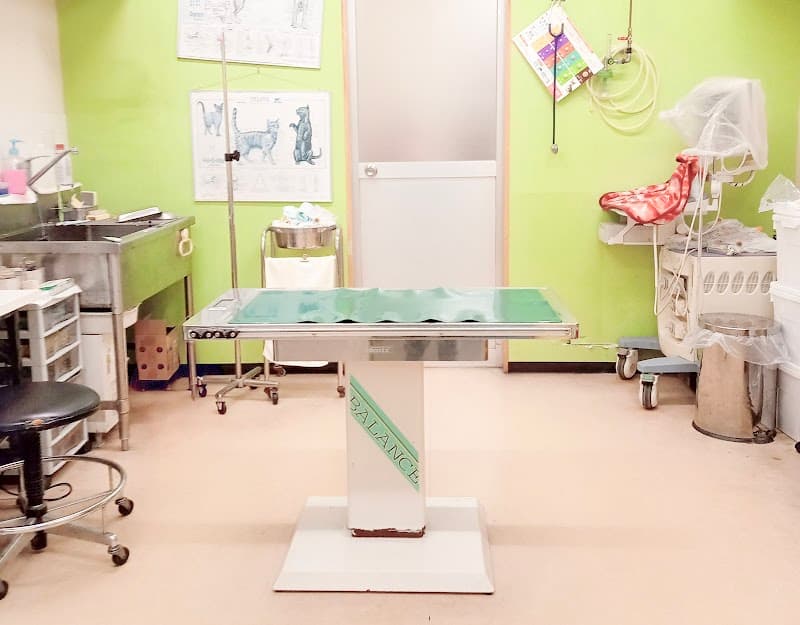 DCC動物病院 カインズ彦根 (旧名: 本間獣医科医院 カインズ彦根病院)