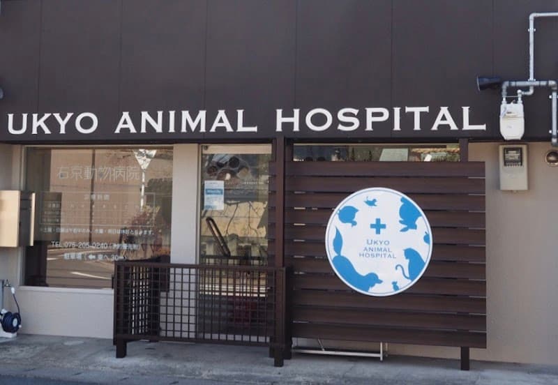 右京動物病院 SAGANO