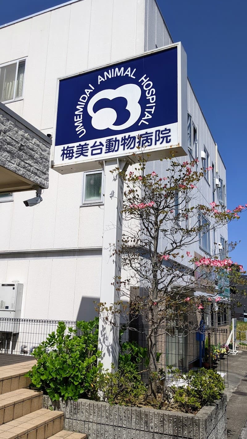 梅美台動物病院