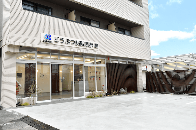 どうぶつ病院京都 桂 (旧名: 動物病院 京都 西京桂院)