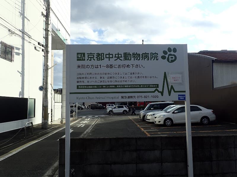 京都中央動物病院