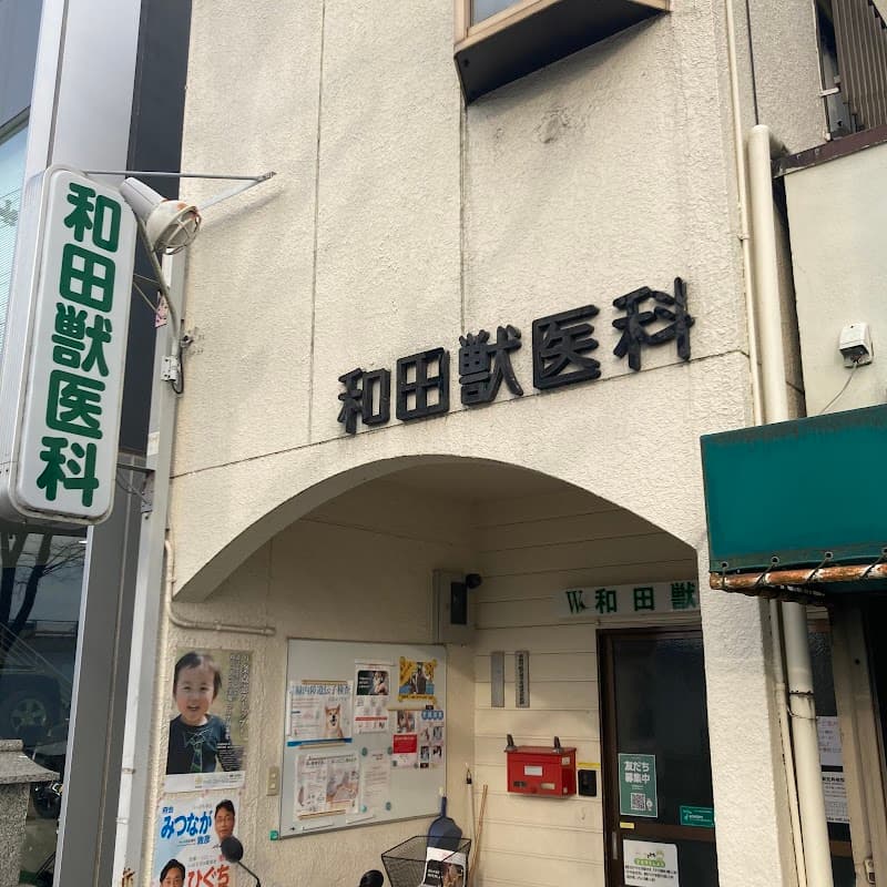和田獣医科病院