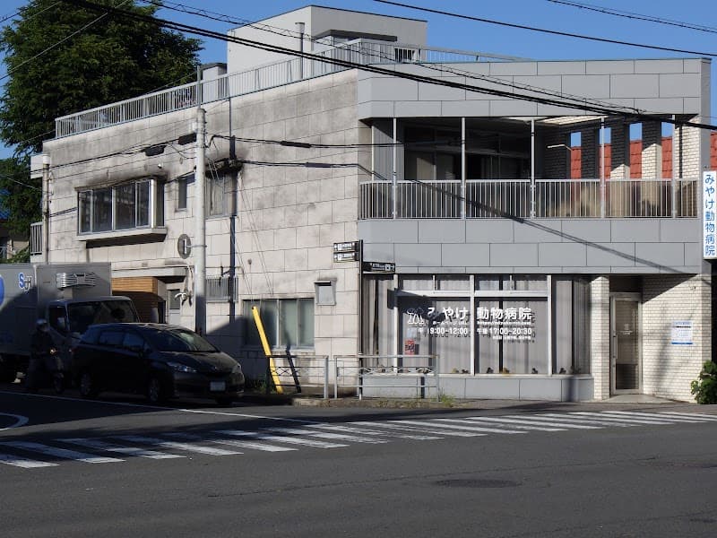 みやけ動物病院