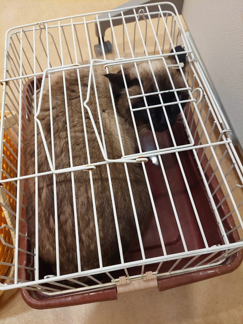 くみはま動物病院