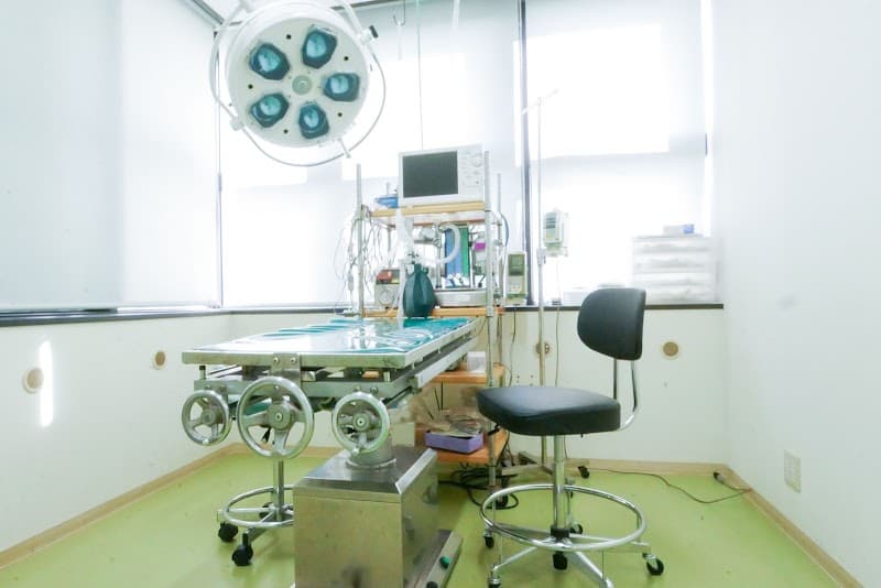 レオ動物病院塚本分院