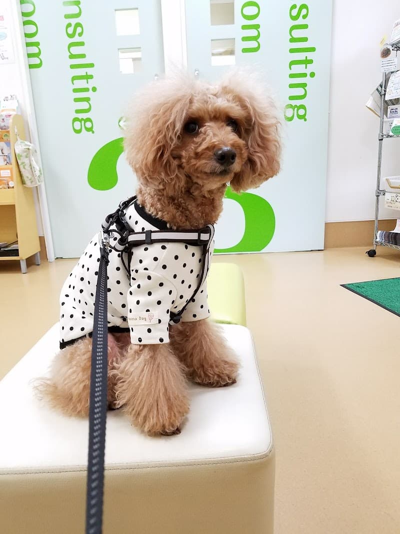 はやし動物病院