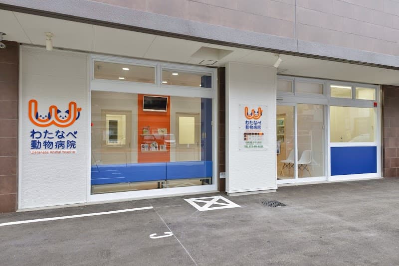 バフィ動物病院