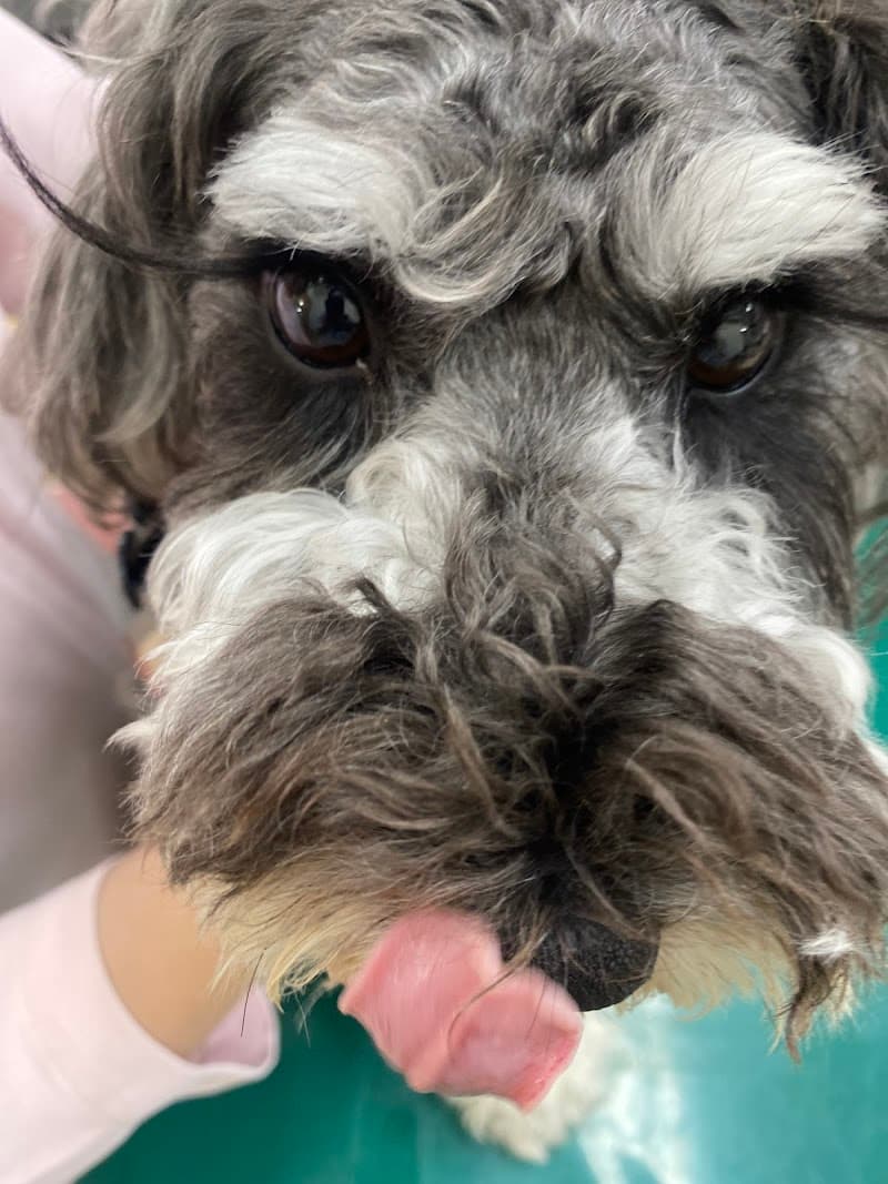 ポピー動物病院