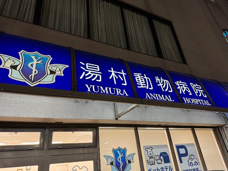 湯村動物病院