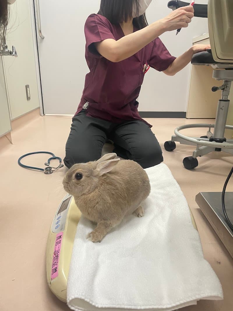 クウ動物病院