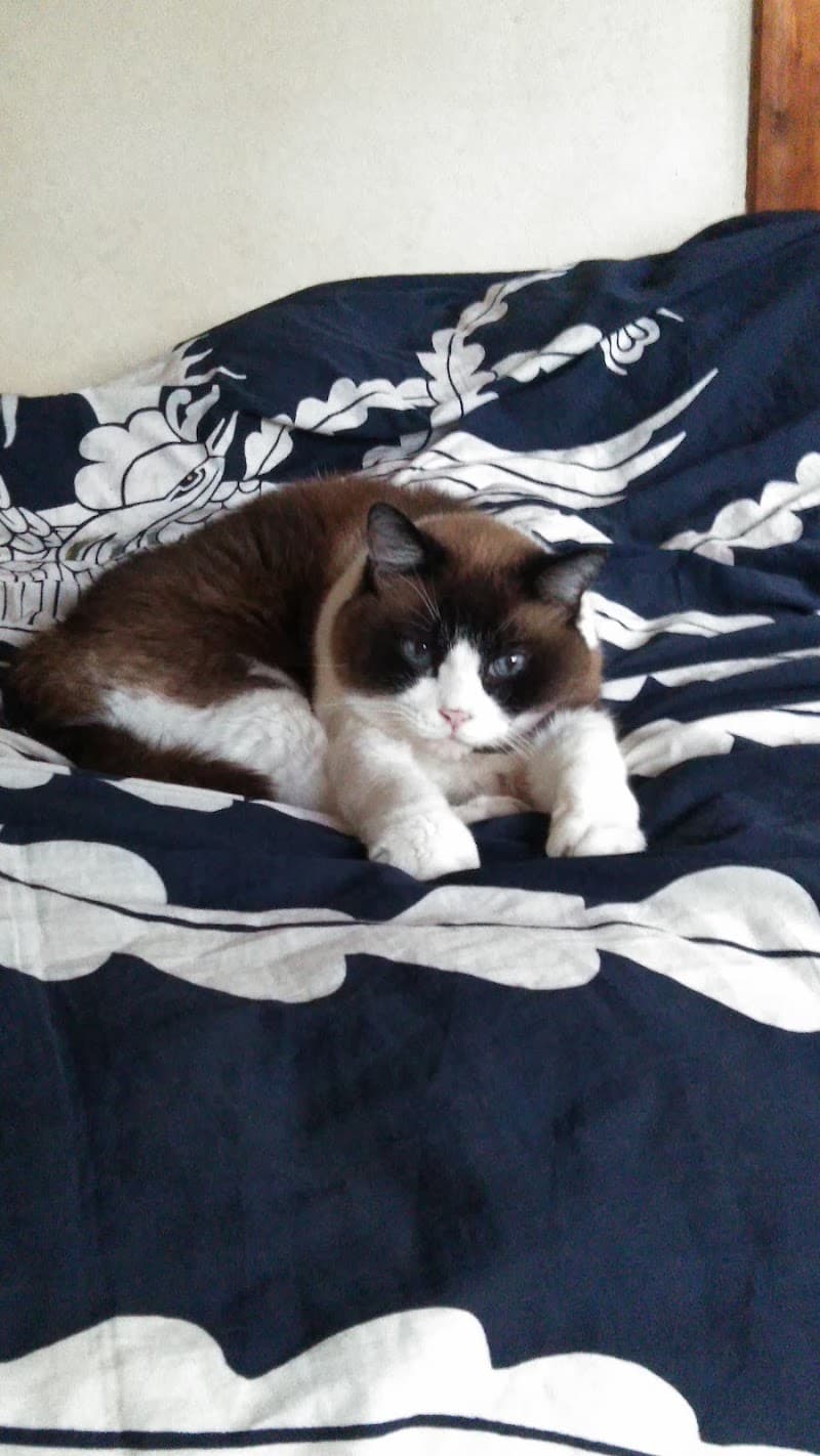 ラファエル動物病院