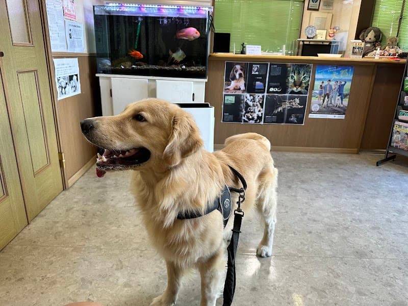 大野台どうぶつ病院