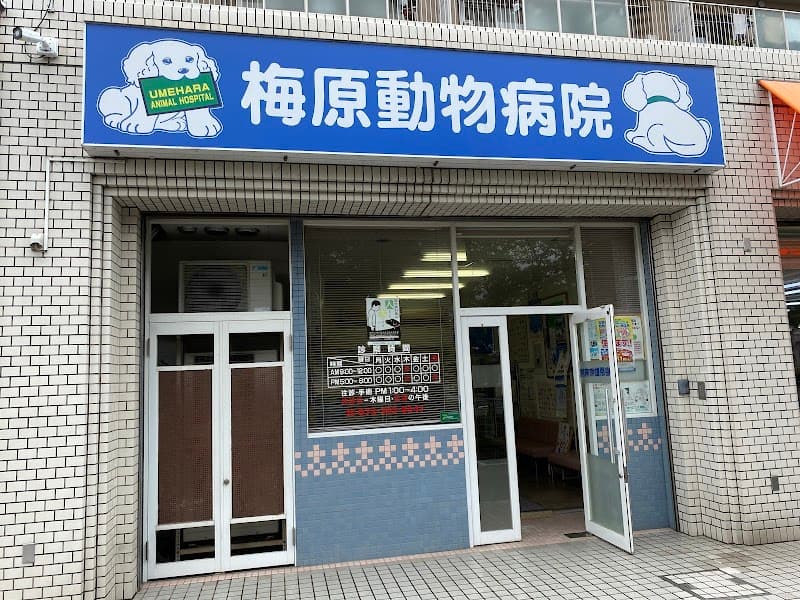 梅原動物病院