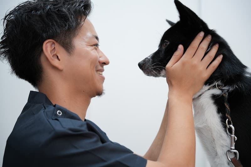 リベ大どうぶつ病院