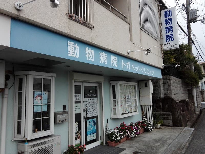 トガペットクリニック