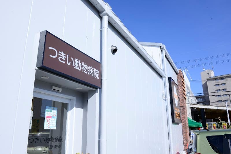 つきい動物病院