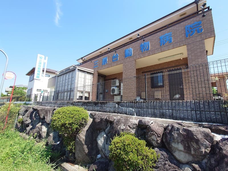 三原台動物病院