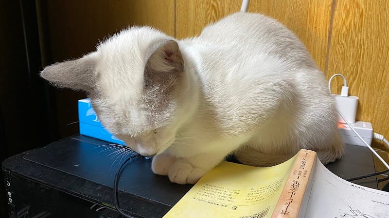 石川ペットクリニック