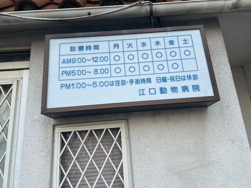 江口動物病院