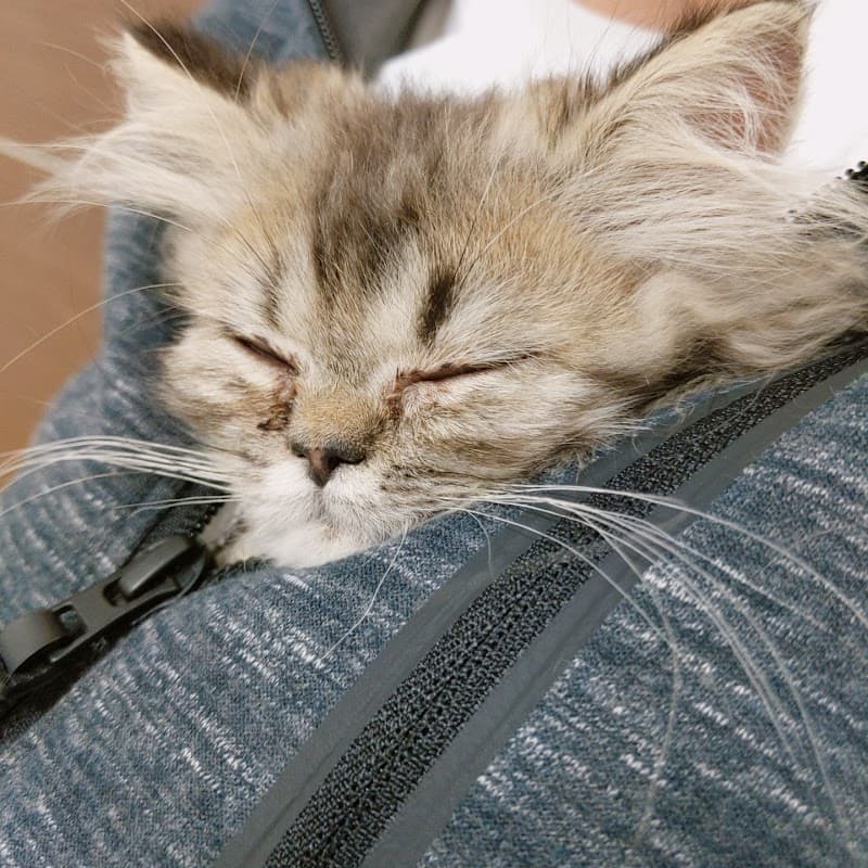 ライズ元町動物病院