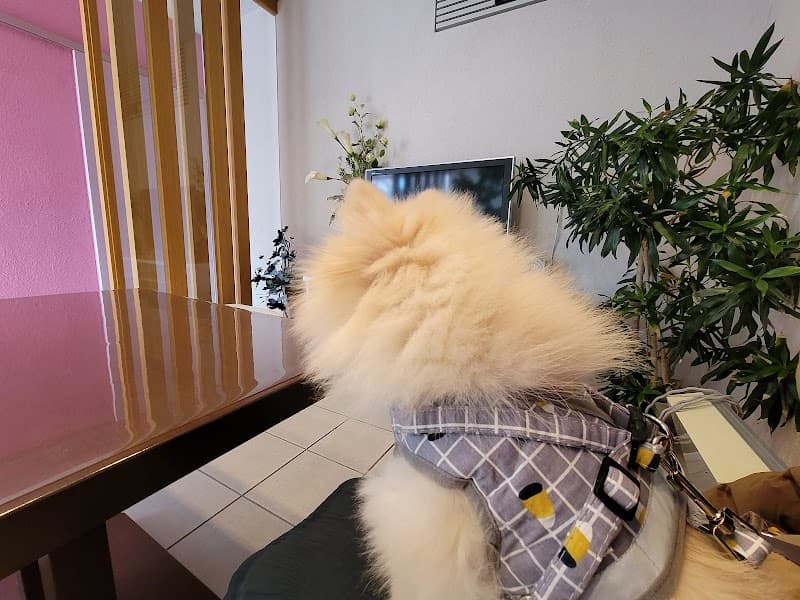 関西動物ハートセンター