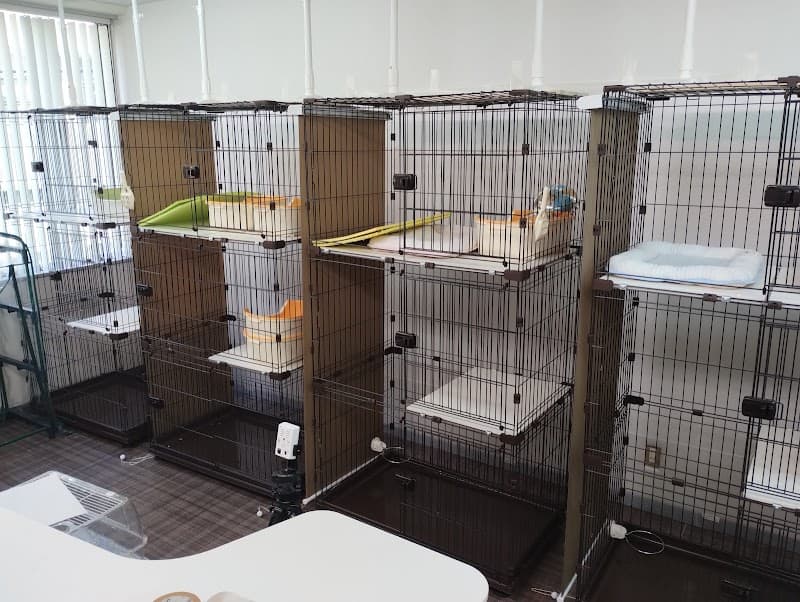 おがたま動物病院