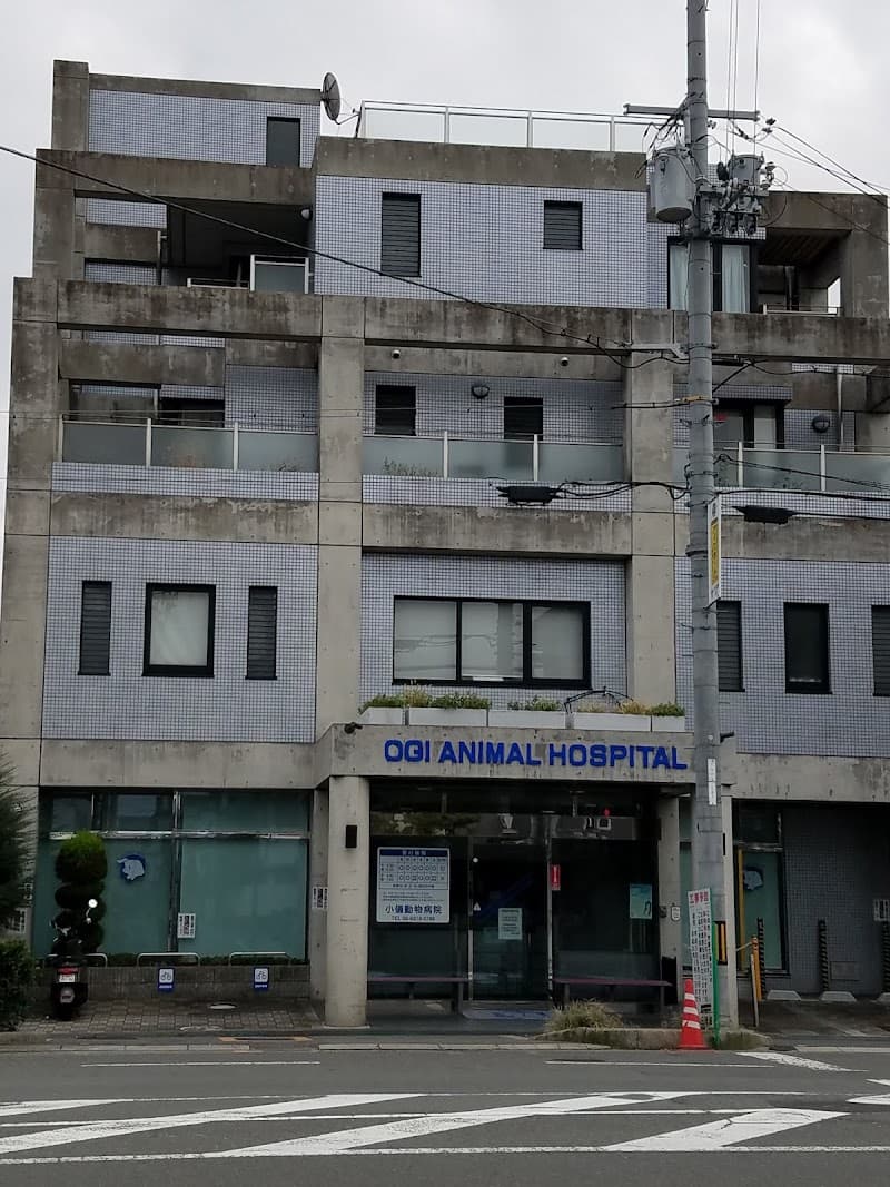 小儀動物病院