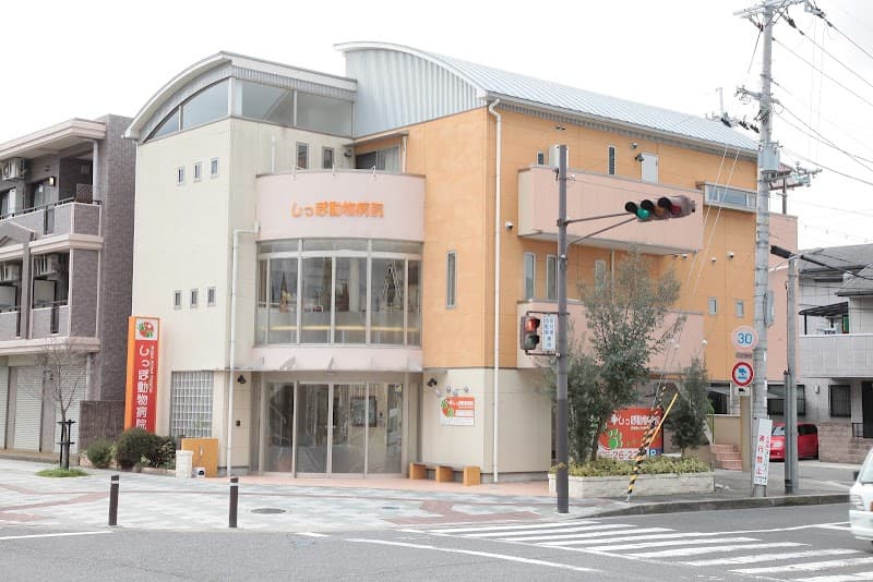 しっぽ動物病院